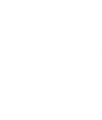 white bird logo